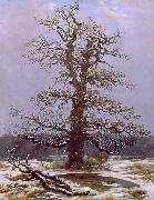 Caspar David Friedrich Eiche im Schnee painting